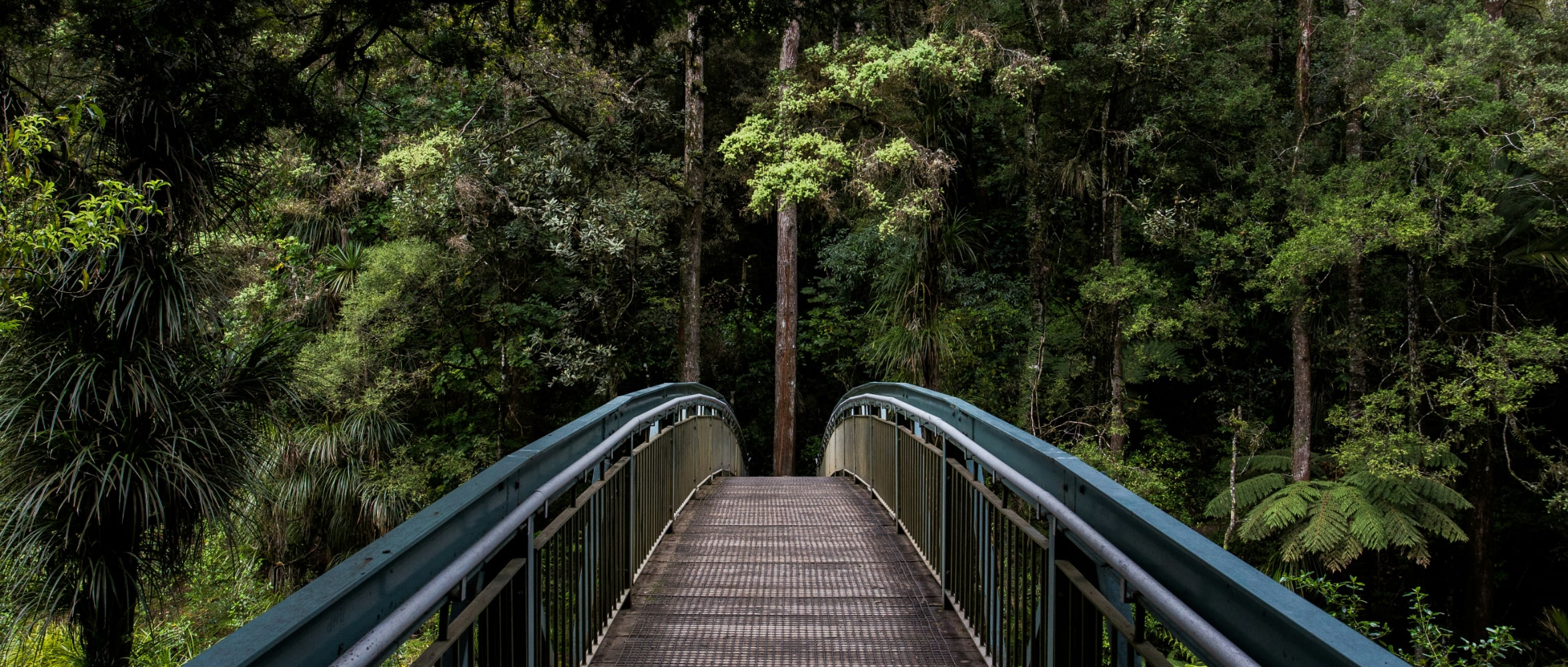 Background nature photo