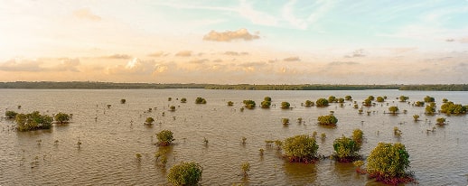 Flood